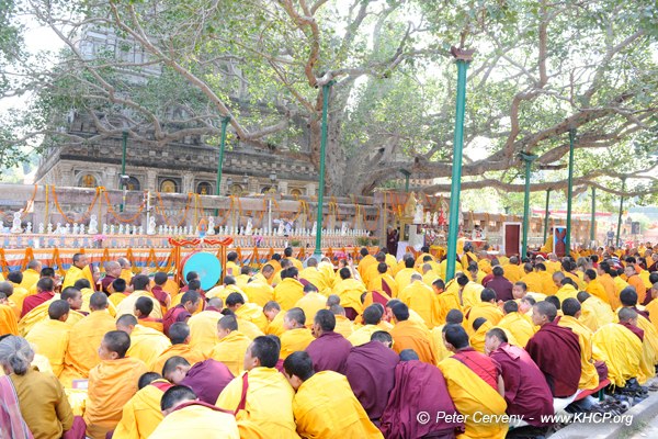 Thousands of Kagyu buddhists take part