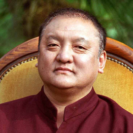 shamar rinpoche
